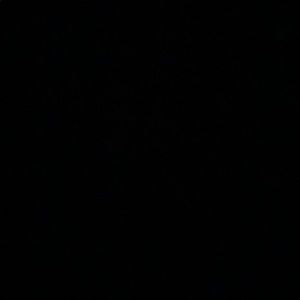 Meet your Posher, Sierra